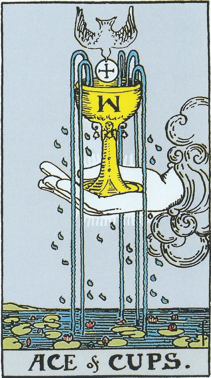 From the Stars to the Cards: A Journey through Astrology and Tarot